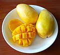 Typical Southeast Asian mangoes