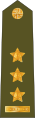 Plukovník[7] (Czech Land Forces)