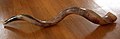 Image 13A kudu horn (from Wood Badge)