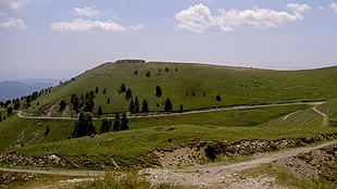 Photo shows a grass-covered slope high in the mountains.