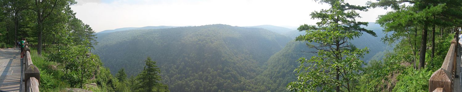 A panoramic view of a wooded gorge, on the left and right is a wooden fence with several visitors standing at an overlook, also on the left is a paved platform, the gorge is covered with green trees