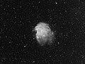 Monkey Head Nebula in hydrogen alpha focal length 384mm