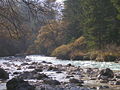 Bistrica Creek
