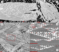 AFM images of DX arrays displaying a Sierpinski gasket