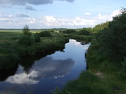 River landscape in Borovichsky District