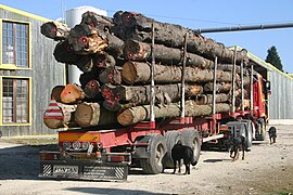 French logging truck