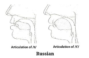 Articulation of t and tʲ in Russian