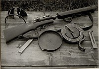 Brzostrelka Hellriegel - 1