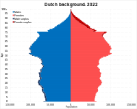 Dutch background population pyramid in 2022