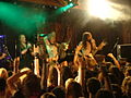 Eluveitie beim SummerNights-Festival im Juni 2007 in Straßwalchen