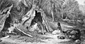 Image 45Indigenous Australian camp by Skinner Prout, 1876 (from History of agriculture)