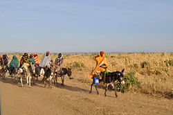 Travelers in West Darfur
