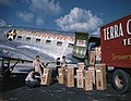 Terra Ceia Island Farms gladiolus being loaded onto a U.S. Airlines plane at the Sarasota Airport, May 8, 1947