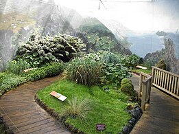 Sub-Antarctic Garden, Royal Tasmanian Botanical Gardens, Hobart