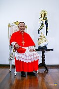 Most Rev. Jose F. Cardinal Advincula, DD