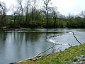 Rock fishing weir constructed on the Etowah River