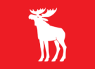Flag of Ringsaker
