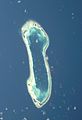 Image 4The atoll of Nukulaelae (from Coral reefs of Tuvalu)