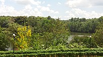 Pilikula Botanical Garden - Forest near the Lake