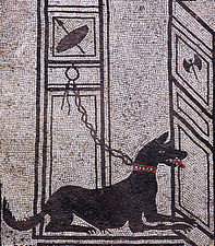 Cave canem! Watchdog from the House of Paquius Proculus, Pompeii