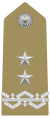 Generale di Divisione (Maggior Generale) (Italian Army)[17]