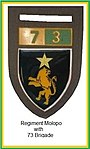 SADF era 73 Brigade regiment Molopo insignia tupper flash