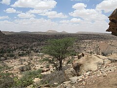 The Somaliland countryside