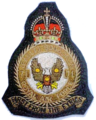 71 Eagle Squadron crest