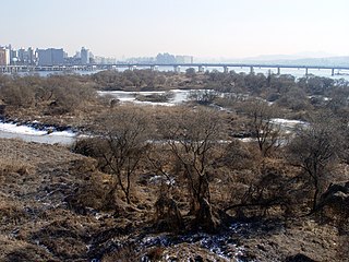Bamseom's East Islet from Seogang Bridge