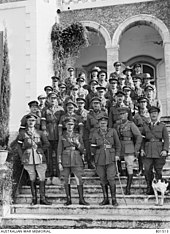 About thirty soldiers and two dogs pose on the steps of a building