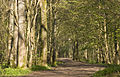 Image 4Stanmer Park (from Brighton and Hove)