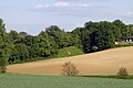 Blick von Dilshofen auf das Naturdenkmal (2020)