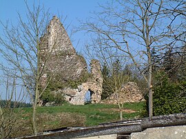 Ruins of the château