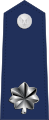 U.S. Air Force rank insignia of a lieutenant colonel.
