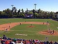 The Gators in action on February 17, 2013