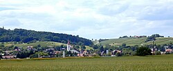 View of Erzingen