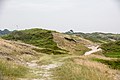 coastal dunes