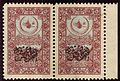 Ottoman Empire 1918 20 pa on 1pi revenue stamp for the construction of Hejaz railway