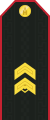 Mongolian Army-SGT-service