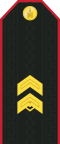 Mongolian Army-SGT-service