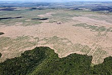 An overhead view of widespread deforestation in the Amazon rainforest, showing the border between jungle and areas recently clear-cut.