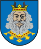 Coat of arms of Rypin County