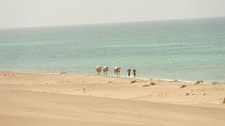 Berbera beach