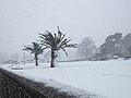 Image 30Torquay sea front during Storm Emma – March 2018 (from Devon)