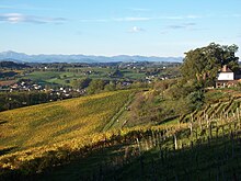 Photograph of hills covered in grape vines dropping into a valley where there is a village