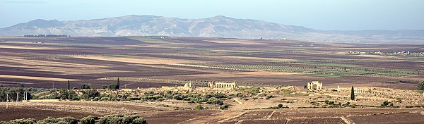 Panoramic view of the ruins with fields in front and behind, and mountains in the distance. Several reconstructed buildings including a basilica and triumphal arch are visible.