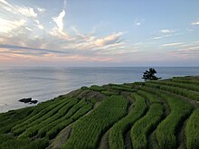 Wajima Shiroyone Senmaida rice terraces at dusk