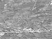 Artillery impacts around Az Zabadani between February 5 and 11, 2012