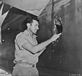 Image 171st Lt. Louis Zamperini, peers through a hole in his B-24D Liberator 'Super Man' made by a 20mm shell over Nauru, 20 April 1943. (from History of Tuvalu)