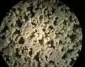 Detailbild Filtermörtel der Fa. Ischebeck